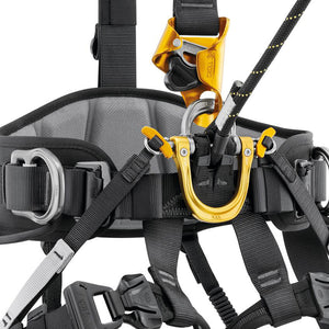 Petzl ASTRO® BOD FAST International Version